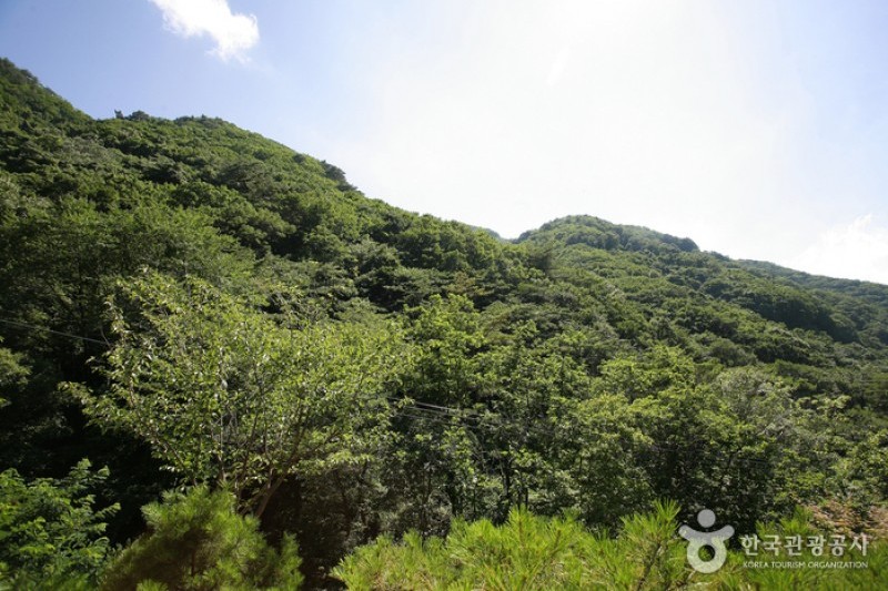 清凉山道立公园 (4/23)