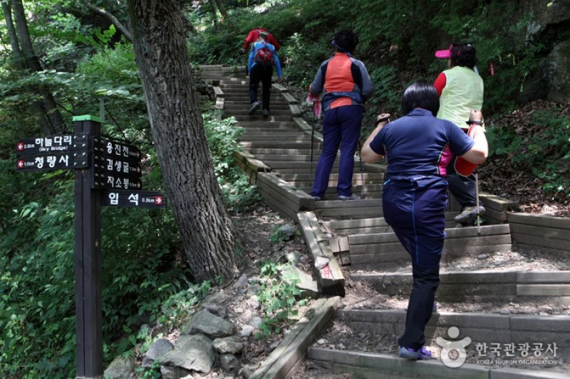 清凉山道立公园 (11/23)