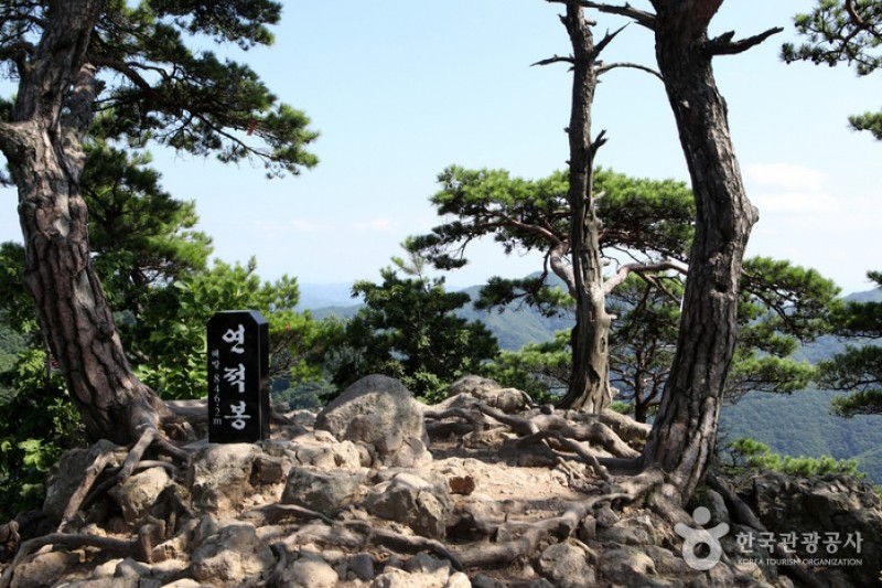 清凉山道立公园 (14/23)