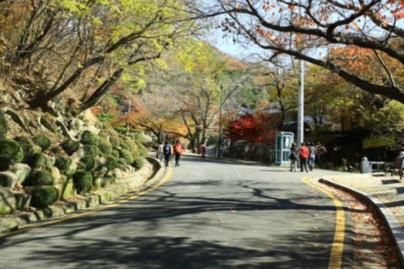 八公山道立公园 (2/9)