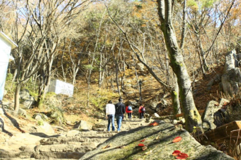 八公山道立公园 (5/9)