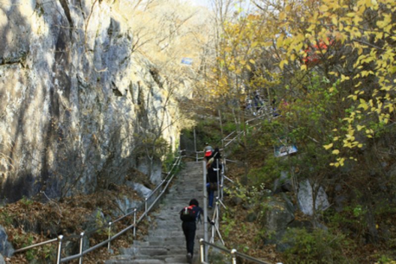 八公山道立公园 (9/9)