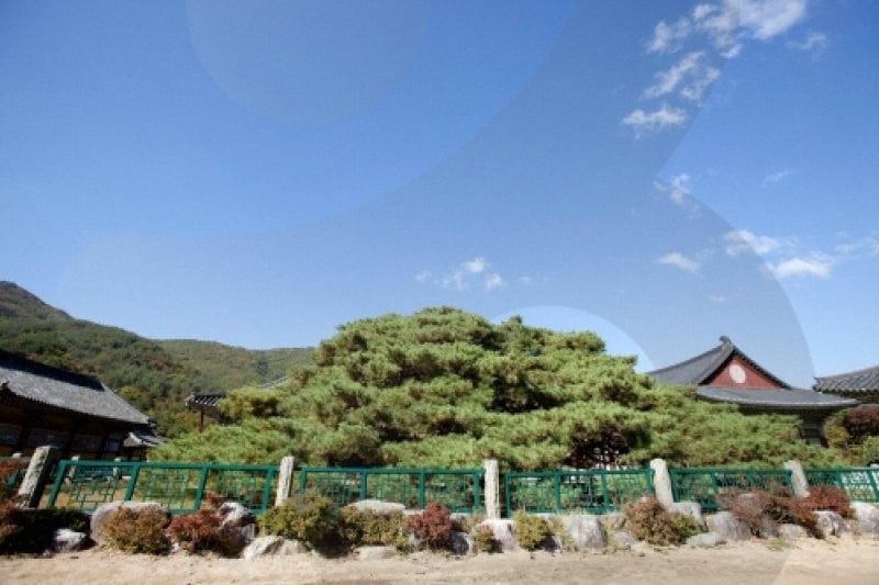 云门寺