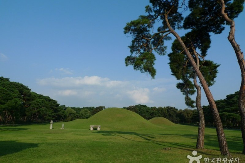 庆州五陵경주 오릉 (1/28)