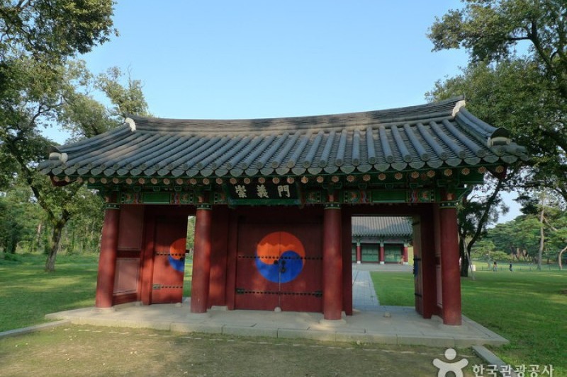 庆州五陵경주 오릉 (8/28)