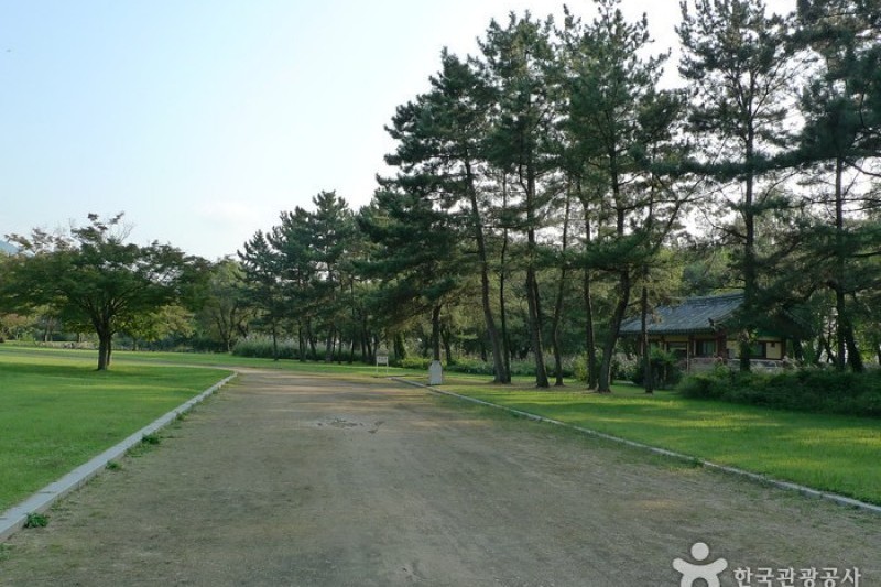 庆州五陵경주 오릉 (10/28)