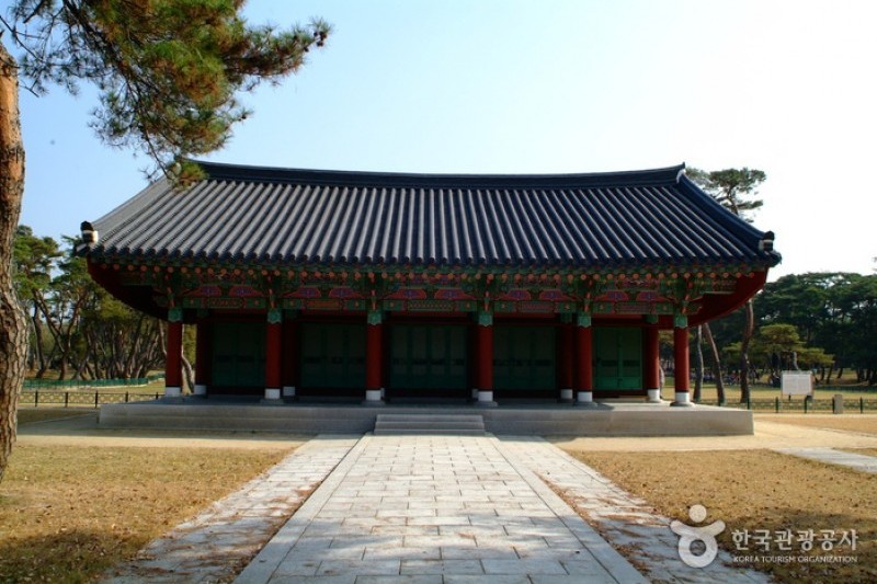 庆州五陵경주 오릉 (27/28)