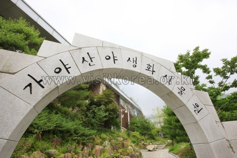 伽倻山野生花植物园 (2/27)