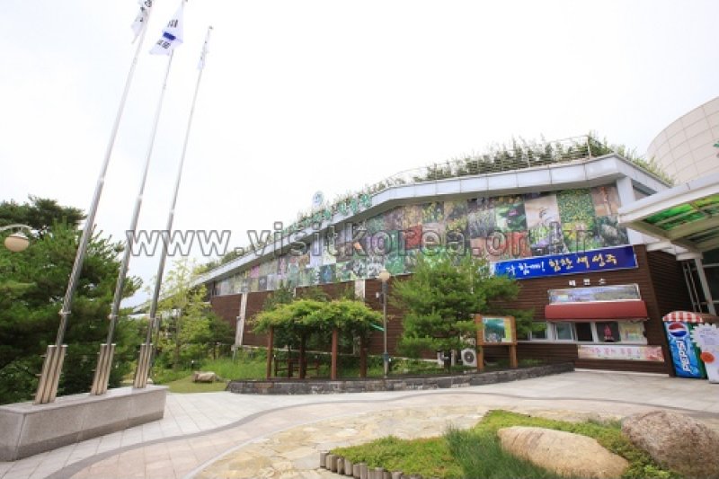 伽倻山野生花植物园 (3/27)
