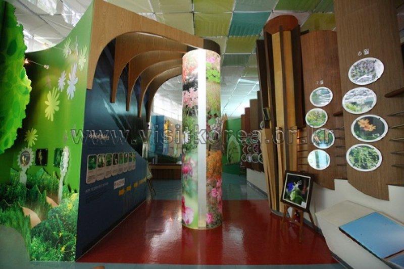 伽倻山野生花植物园 (9/27)