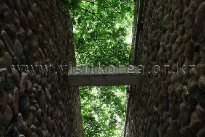 伽倻山野生花植物园 (17/27)