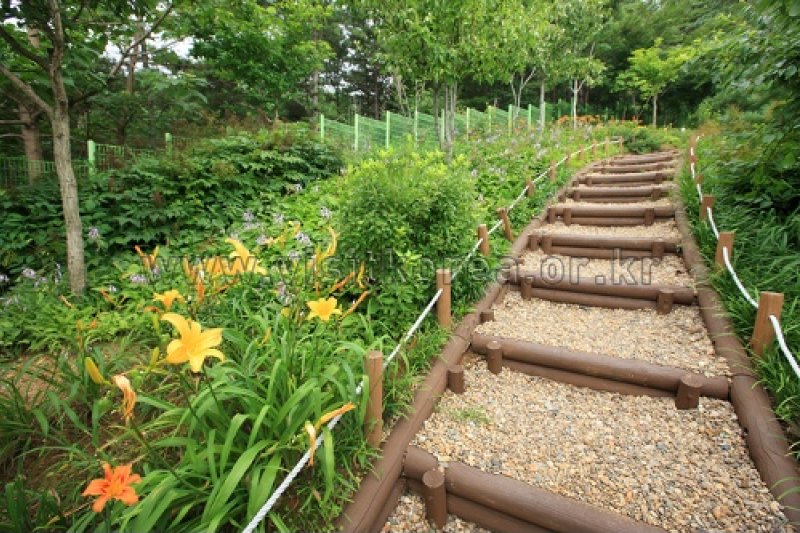 伽倻山野生花植物园 (23/27)