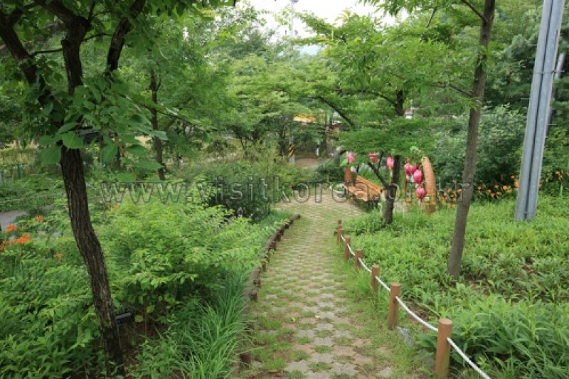 伽倻山野生花植物园 (24/27)