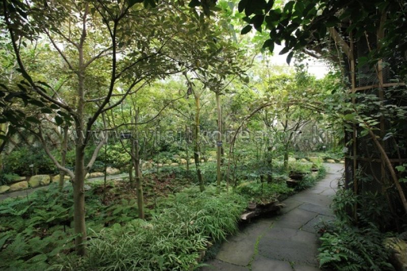 伽倻山野生花植物园 (26/27)