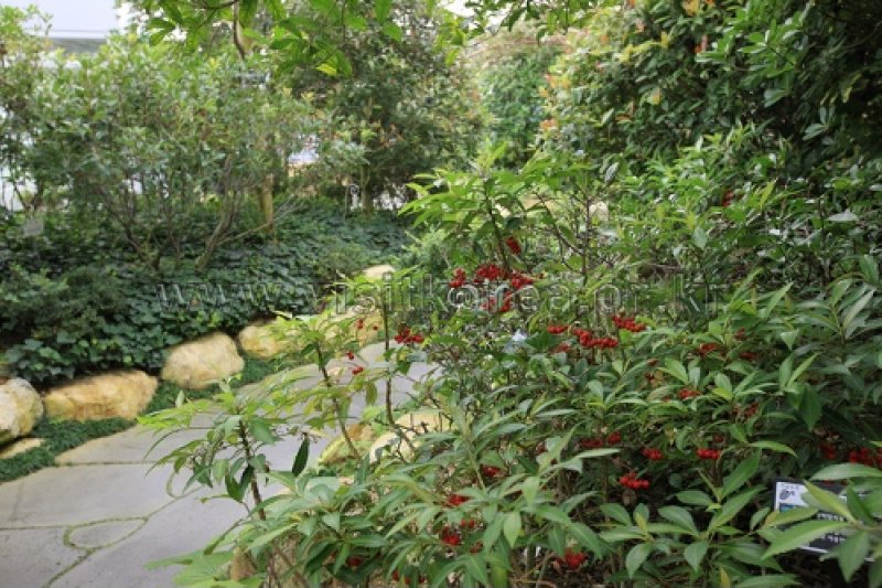 伽倻山野生花植物园 (27/27)