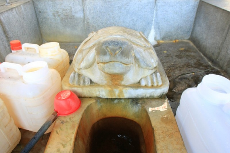 达基药水池 (1/16)