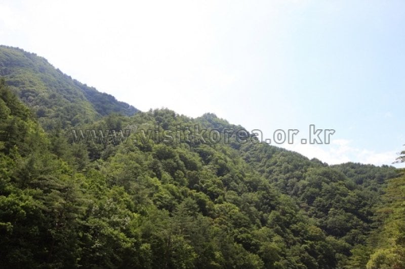 鹰峰山 (1/1)