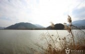 洛东江낙동강