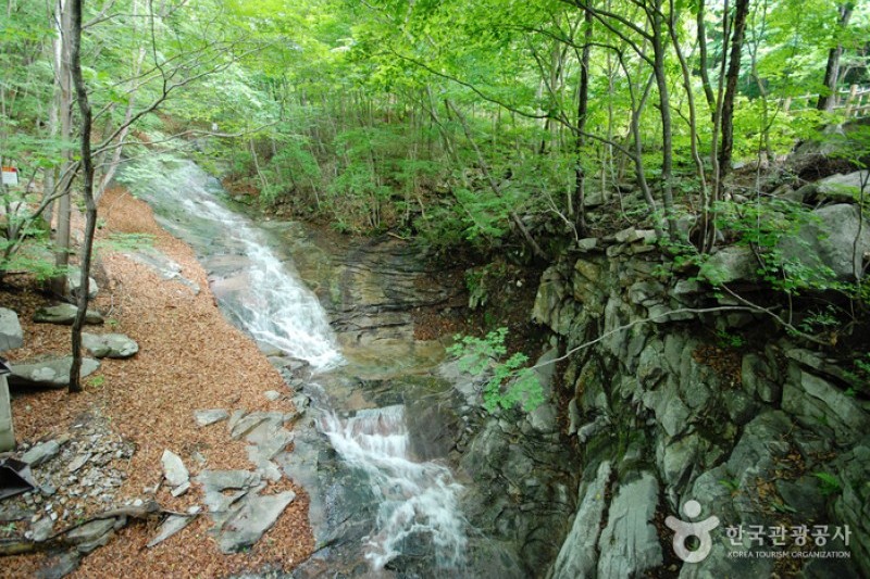 国立云门山自然休养林