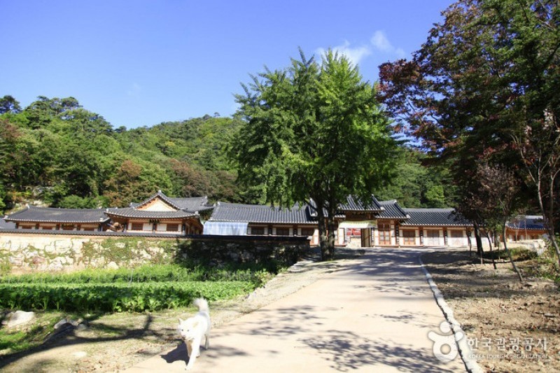 大乘寺