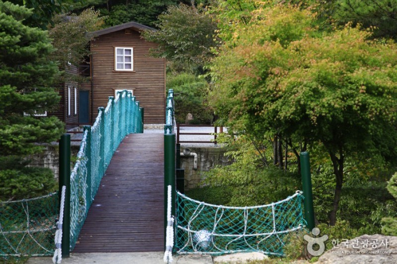 圣主峰自然休养林 (1/5)