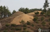 高灵池山洞古坟群