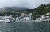苧洞港