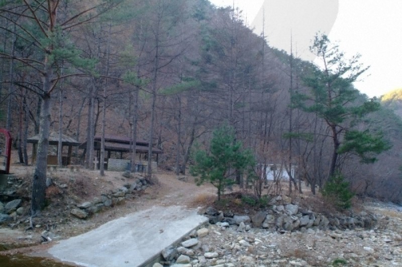 通高山自然休养林