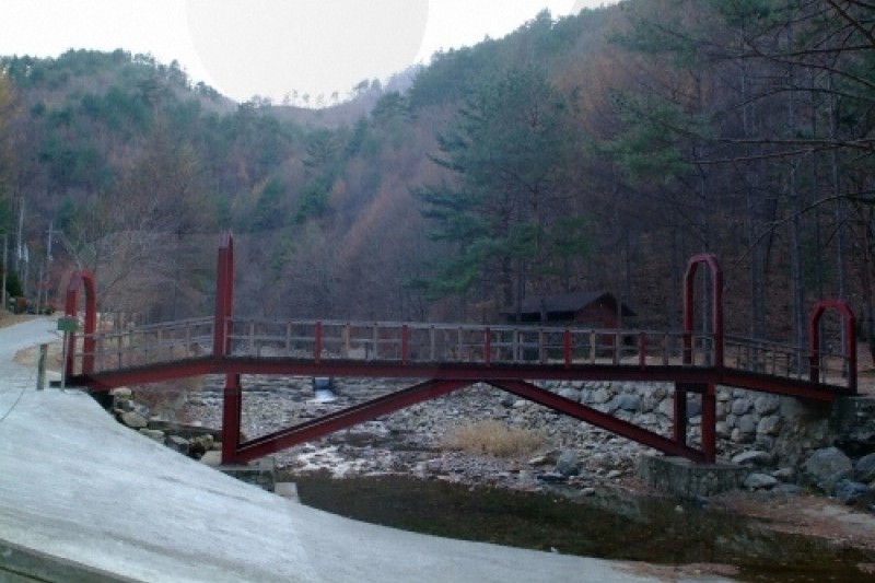通高山自然休养林