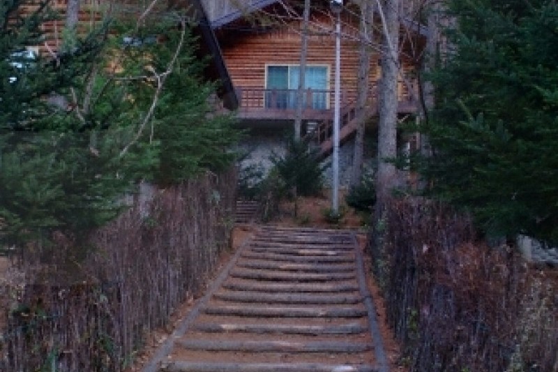 通高山自然休养林