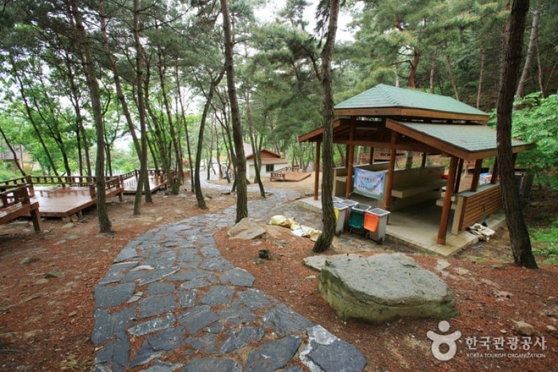 漆谷松亭自然休养林칠곡 송정자연휴양림