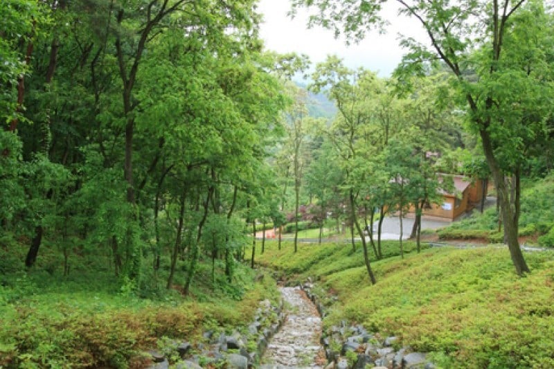 漆谷松亭自然休养林칠곡 송정자연휴양림