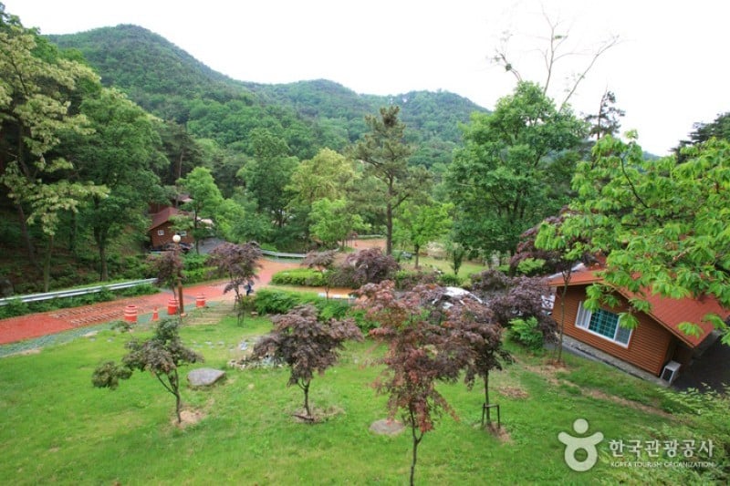 漆谷松亭自然休养林칠곡 송정자연휴양림