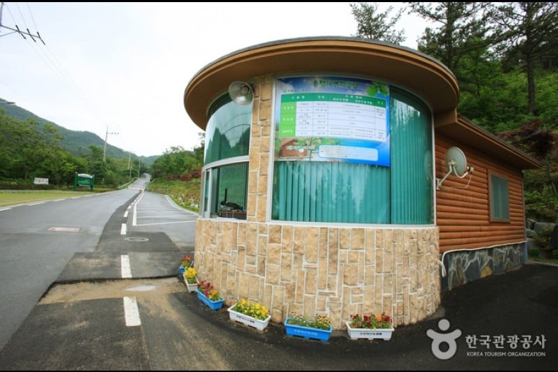 漆谷松亭自然休养林칠곡 송정자연휴양림