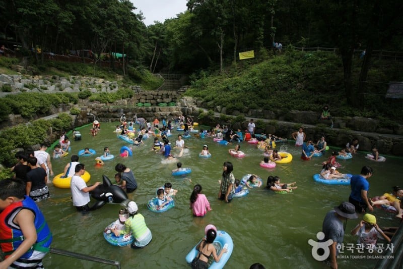 漆谷松亭自然休养林칠곡 송정자연휴양림