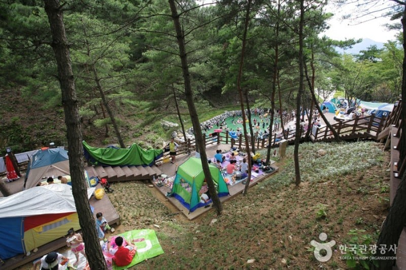 漆谷松亭自然休养林칠곡 송정자연휴양림