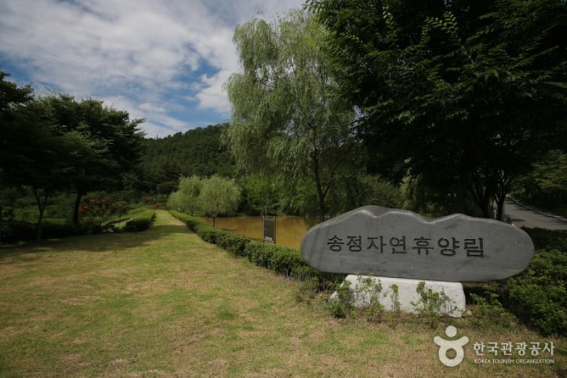 漆谷松亭自然休养林칠곡 송정자연휴양림