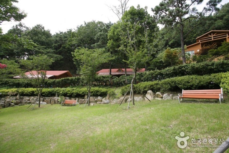 漆谷松亭自然休养林칠곡 송정자연휴양림