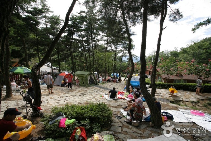漆谷松亭自然休养林칠곡 송정자연휴양림