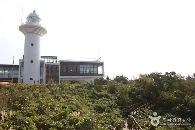 鬱陵岛灯塔 (6/6)