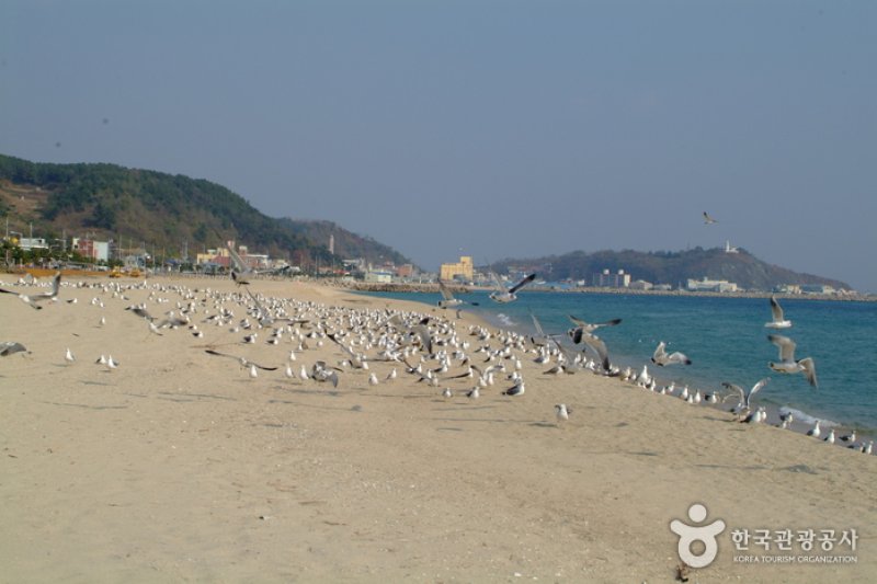 厚浦海水浴场 (1/5)