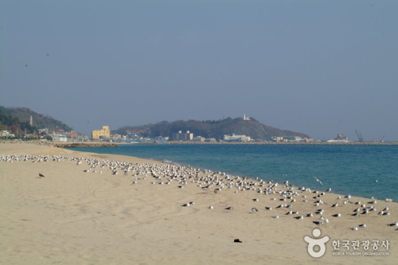 厚浦海水浴场 (4/5)