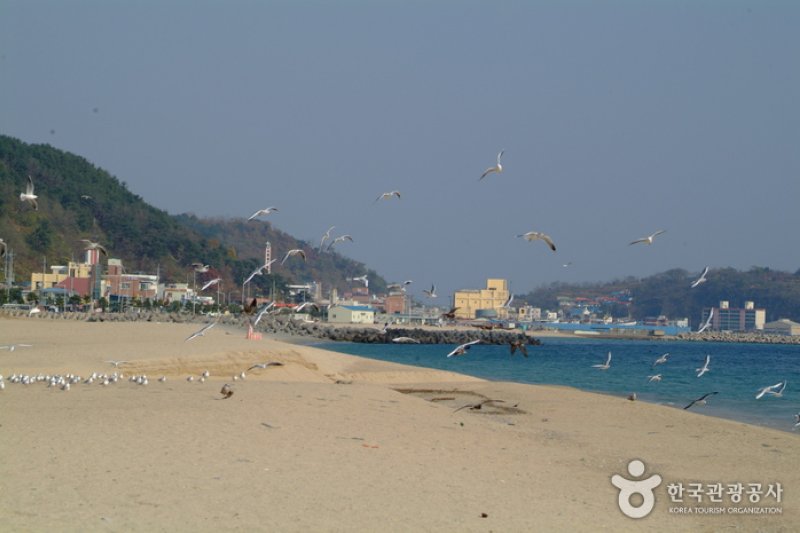 厚浦海水浴场 (5/5)