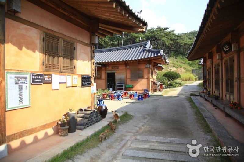 Surime [韩国传统料理体验教育院] (1/3)