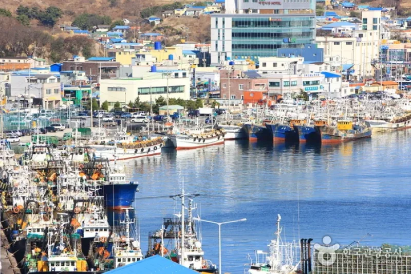 九龙浦港