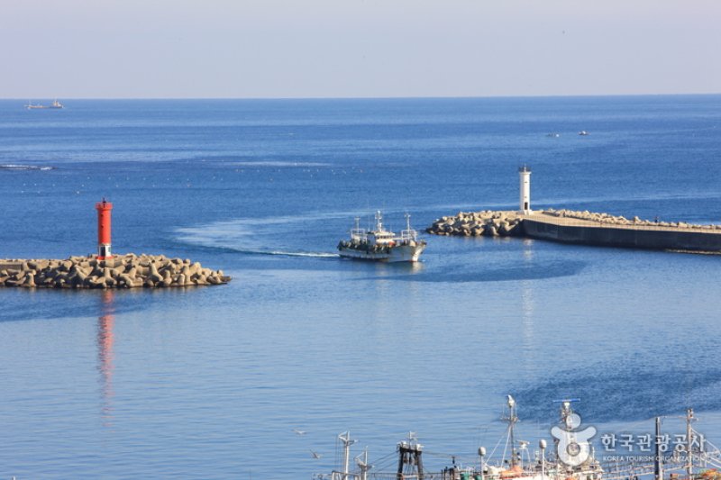 九龙浦港