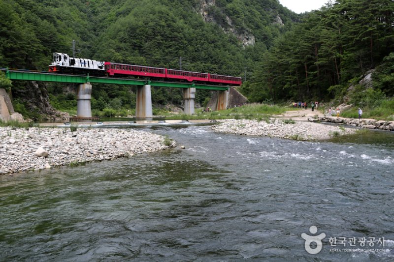 白头大干峡谷列车V-TRAIN백두대간협곡열차 (1/7)