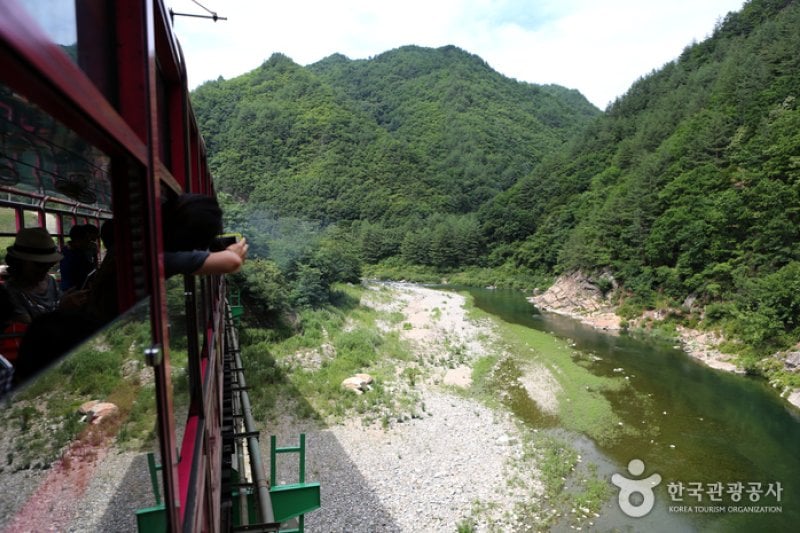 白头大干峡谷列车V-TRAIN백두대간협곡열차 (7/7)