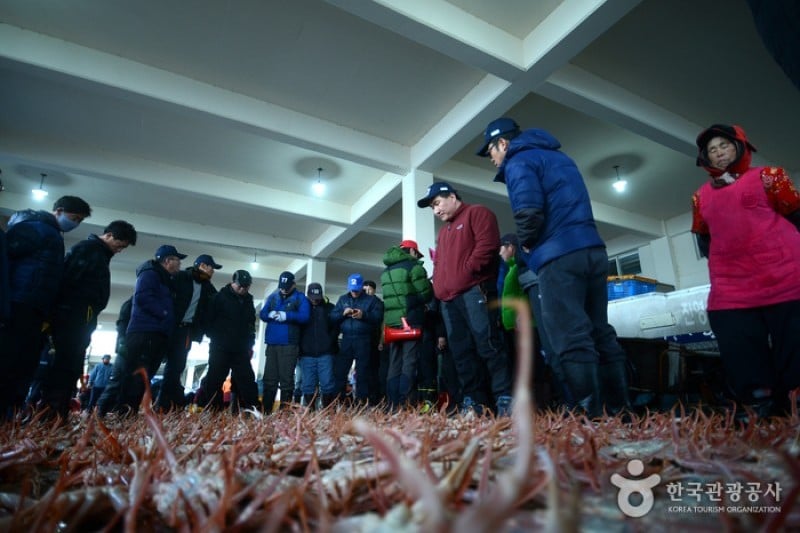 蔚珍竹蟹与红蟹庆典