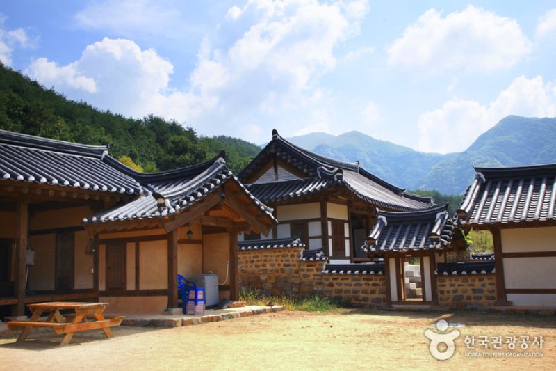 [名品古宅]聋岩宗宅([명품고택]농암종택) (49/52)